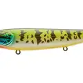PUMPKINSEED