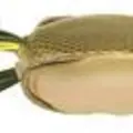 SPOOKY SHAD