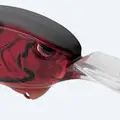 PHANTOM BLOOD CRAW