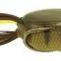 WICKED PERCH