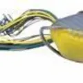 GOLD SHINER