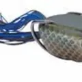 KILLER GILL