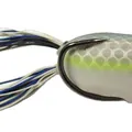 NASTY SHAD