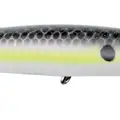 NASTY SHAD
