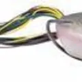 SPOOKY SHAD