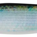 SAPPA BLUE GLOW BELLY