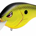 CHARTREUSE BLACK BACK