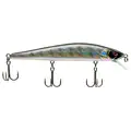 DEADLY BLACK SHAD