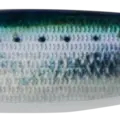 SARDINE BLUE GLOW BELLY