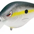 NASTY SHAD