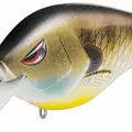 TROPICAL SHAD