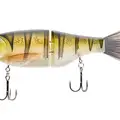 GHOST PERCH