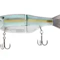GIZZARD SHAD