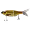 GOLDEN SHINER