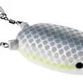 NASTY SHAD