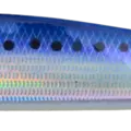 REAL SARDINE BLUE G