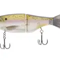THREADFIN