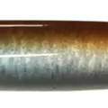 REAL SAND LANCE