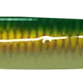 GREEN GOLD GLOWING BELLY TAIL ORANGE GLOWING