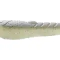NASTY SHAD