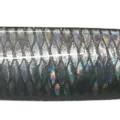 GLOWING HEAD SILVER