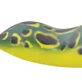 BULL FROG