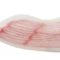 BONE DUCK
