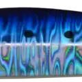 SARDINE