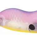 CLEAR PINK LEMONADE