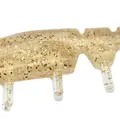 GOLDEN SPARKLE