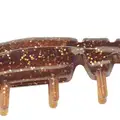 ROOT BEER GOLD
