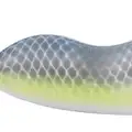 NASTY SHAD