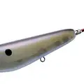 SLEAZY SHAD