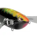 FIRE FLY
