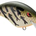 GREEN PUMPKIN CRAW
