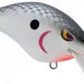 OLD SCHOOL SHAD