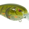 MD 55 PHANTOM WATERMELON