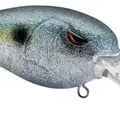MD 55 SPARKLE SHAD