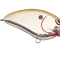MD CHROME OLIVE
