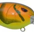 BURNT ORANGE CRAW