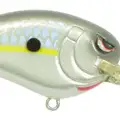 MD HOMEMADE SHAD