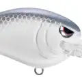 MD LAVENDER SHAD