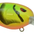 MELON CRAW
