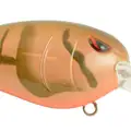 MISSOURI CRAW