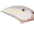 MD NASTY SHAD