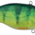 REAL PERCH