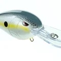 NASTY SHAD