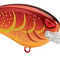 MD RAYBURN RED