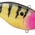ROSY PERCH