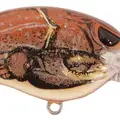 MD RUSTY GOLD